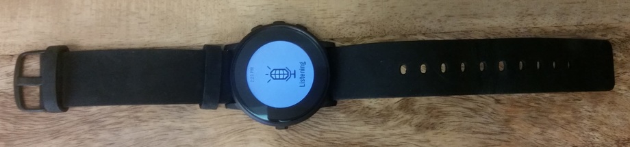 Pebble and Snowy listening voice command