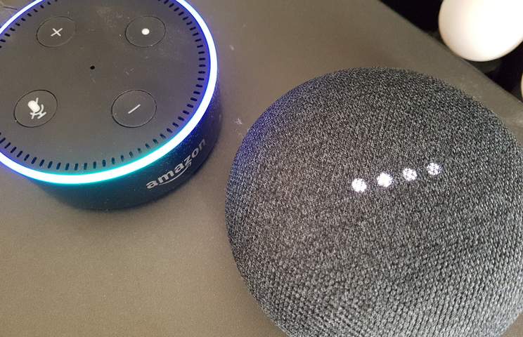 Amazon Echo Dot and Google Home mini